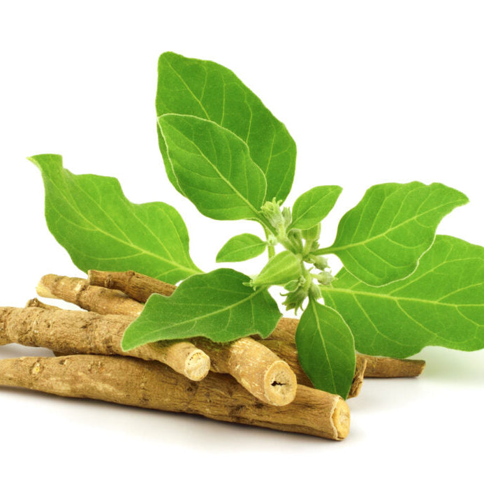 Ashwagandha - Learn the Benefits Of This Ingredient