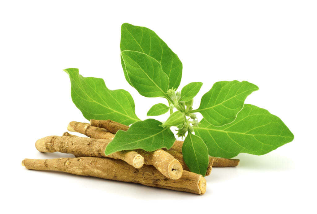 Ashwagandha - Learn the Benefits Of This Ingredient