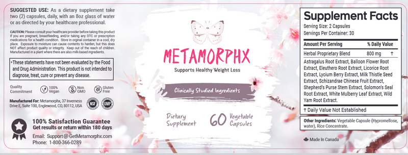 MetamorphX